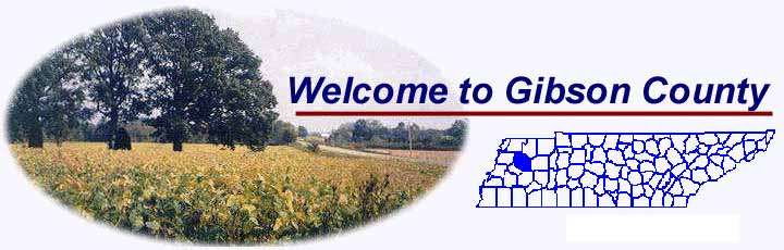 pagephoto1.jpg (13832 bytes)